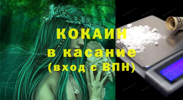 шишки Балабаново
