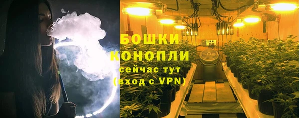 шишки Балабаново