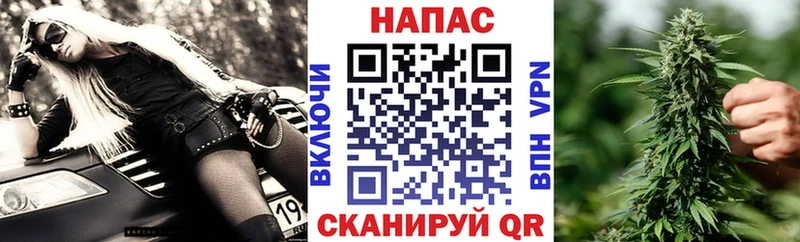 Купить  Котлас  Конопля OG Kush 